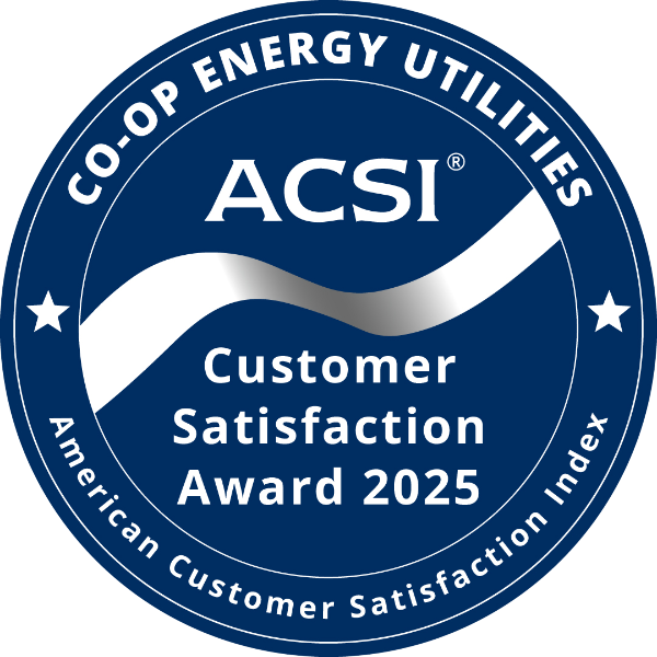 acsi badge
