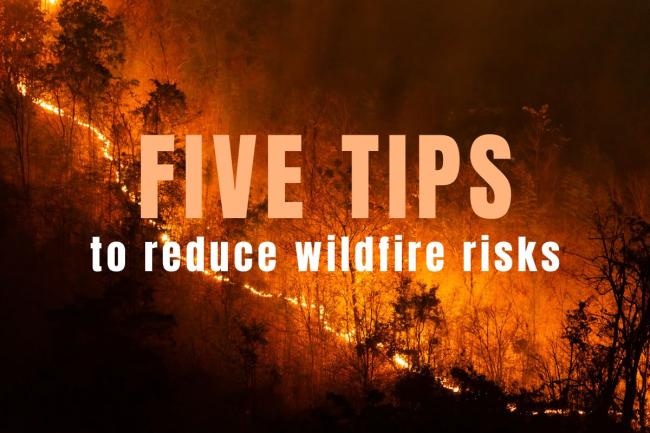 wildfire