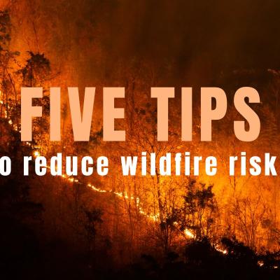 wildfire